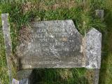 image of grave number 95565